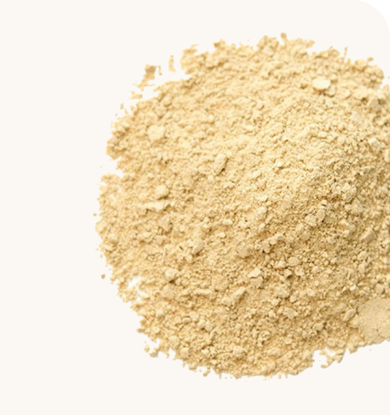Natural Ginger Extract